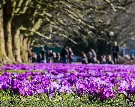 דירה Janosik שצ'צ'ין